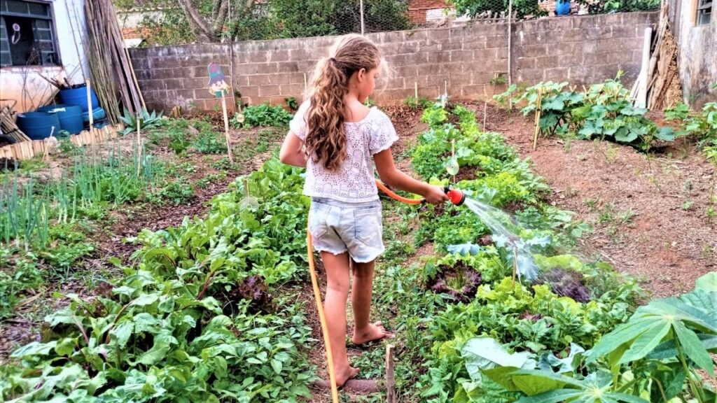 Projeto de Horta Comunitária Agroecológica do CRAS acessa população à alimentação saudável