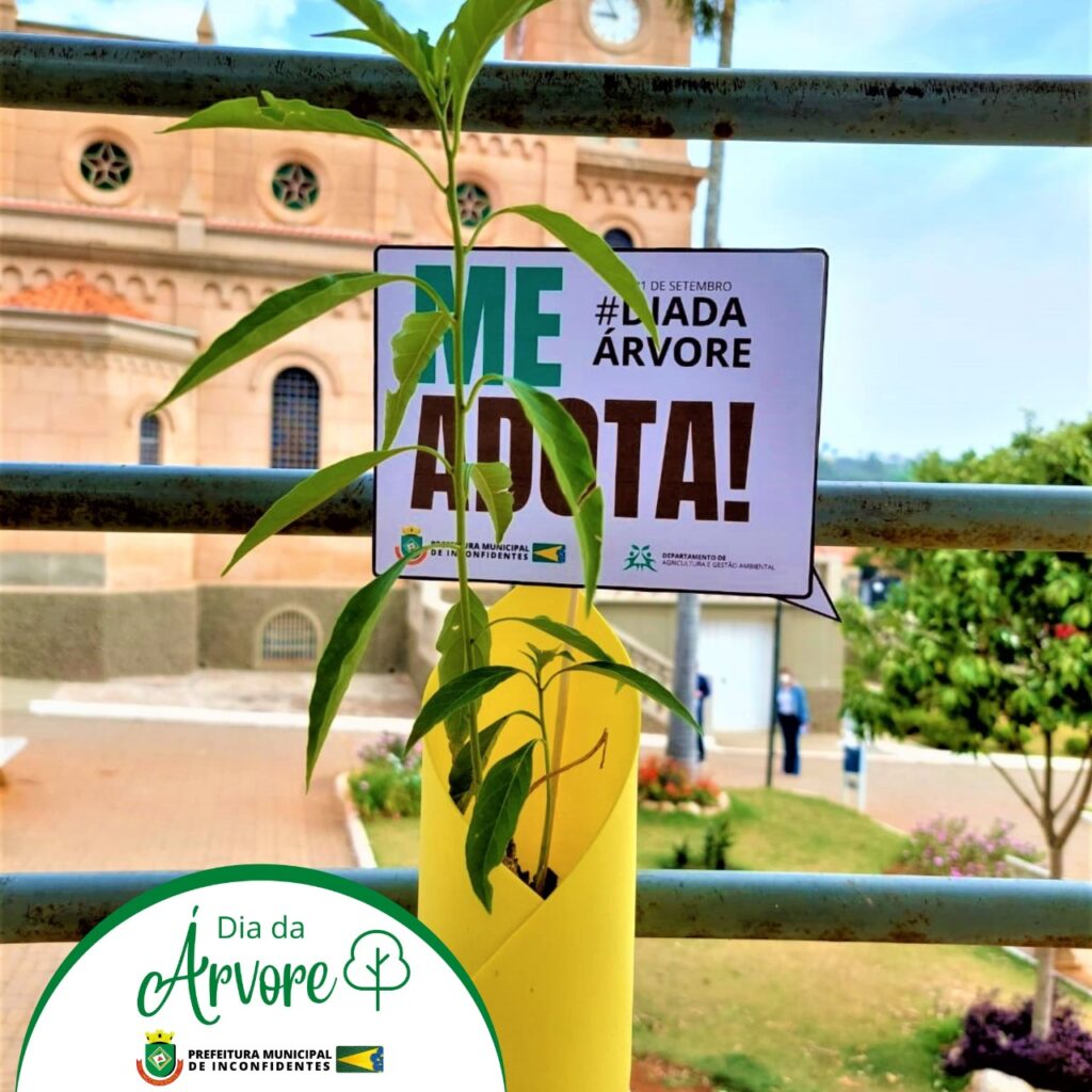 Dia da Árvore é comemorado com distribuição de mudas
