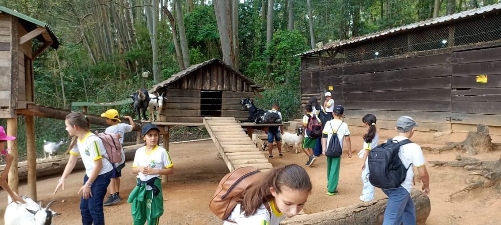 ALUNOS DE INCONFIDENTES VISITAM ZOOLÓGICO EM SÃO PAULO