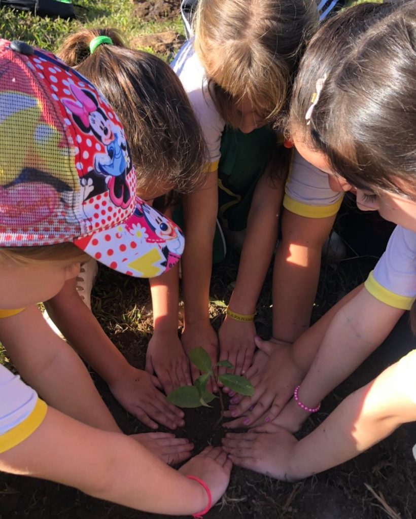 ALUNOS DA ESCOLA ROGÉRIO BERNARDES DE SOUZA REALIZAM PLANTIO DE ÁRVORES NATIVAS